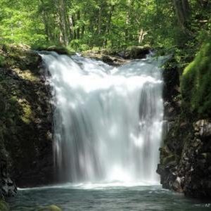 八幡平山麓の伏流水